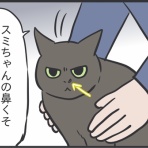 おそらくその平凡こそ幸せ　猫と私と家族の日常