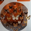 名古屋市科学館