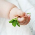 出生時に取り違えられた子供、実の両親の元に戻るのを拒否ｗｗｗ