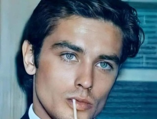 フランス人「お前らの国で一番のイケメンって誰になるの？」