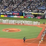 『ホワイトなのは結構ですが、ひょっとして「悠長」ともいうんじゃないですか?』の画像