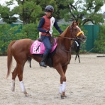 スライムの競馬ブログ
