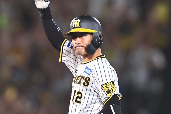 阪神タイガース ボブルヘッド 鳥谷 西岡 新井良 桧山 藤浪5体セット 阪神タイガース ボブルヘッド 鳥谷 西岡 新井良 桧山 藤浪5体セット