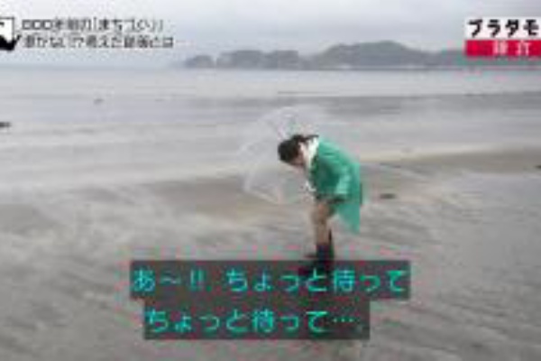 ブラタモリ 5月9日放送 鎌倉 800年前の まちづくり 海側のまちづくり 材木座海岸 和賀島 鶴岡八幡宮一の鳥居 Halohalo Online