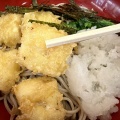 函館市若松町26 蕎麦処 かしわ屋 その5 いか天おろしそば850円