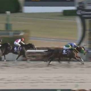 競馬総合まとめ速報