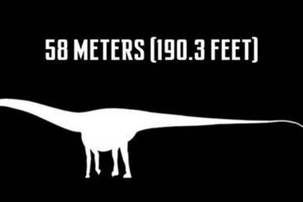 恐竜の謎 矢口壹琅 の One Love