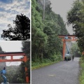 大鳥居