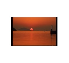 わくわく写真2ー5