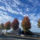 小さい秋、小さい秋、小さい秋、見つけた！