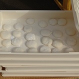 『連休は太るよね』の画像