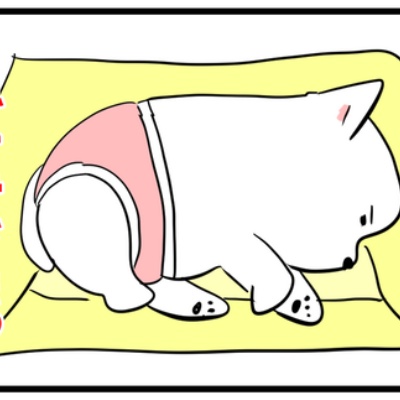 ちーちゃんです。 ちーちゃんですけどもっ！ 第1巻 | おます |本 | 通販 | Amazon