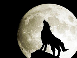 『人狼』とかいう面白いのに廃れたゲームｗｗｗ