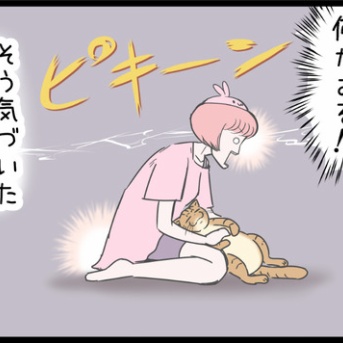 ネコ飼い見習いウサ子、ついに！？のまき