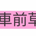 読めたらかっこいい難読漢字　No.114「石蓴」「車前草」「梔子」