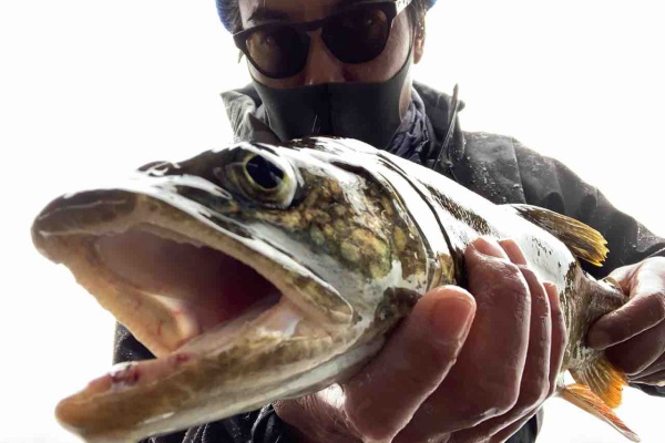 都市型釣りブログ スライドスプーン