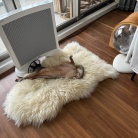 グレー兄弟の距離感