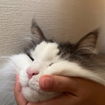 天使と悪魔
