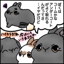 うさトリオ座談会Part8〜ブラッシング道具〜