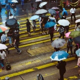 『7月に晴れたのは4日間だけ、観測史上2番目の降雨量を記録』の画像