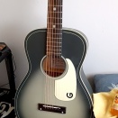 グレッチ、ジム・ダンディを買った