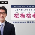 江端妃咲の在日説、ソースあったん？ｗｗｗヤバすぎる