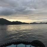 『小鳴門、久しぶりの海で鯛を狙う』の画像