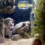 Beach Field　いいかげん日記帳Ⅲ