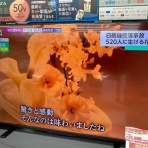 セガレの知恵袋