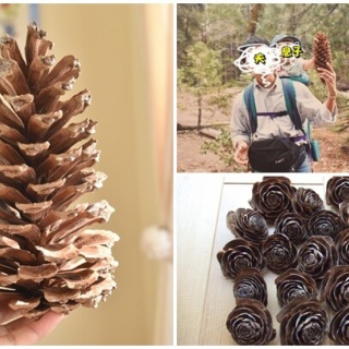 happy-go-lucky　-心地いい暮らしのコツ-