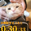 【第弐話】見知らぬ、天井 ～シンクロ率400％の連行劇