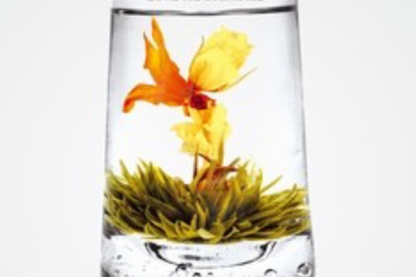 姫茶伝のブログ 中国茶 台湾茶 アジア全域のお茶 卸 小売販売