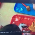 Canicule　猛暑　Orages　暴風雨　（フラ語）画像追加しました