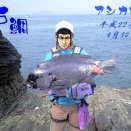 ガンガゼの記事を見かけました