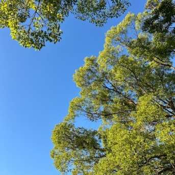 1ヶ月後、景色は変わる。豊かさを感じる感謝のステージへ。
