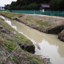 「日本デンマーク」は雨のち晴れ／愛知県安城市移動