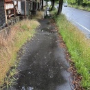 ジョグの血便と小雨の中のウォーキングの最後は土砂降りと雷鳴に追われる