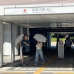 ディスカスの逍遥日誌