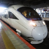 『かもめ①』の画像