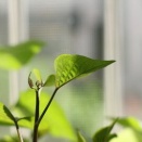 途中で萎えるということ