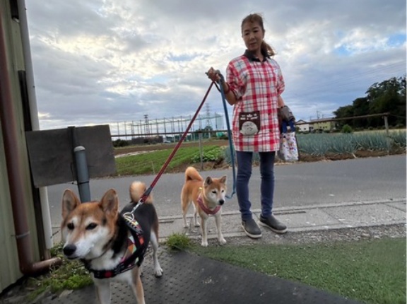 今日は曇り空のシェルター地方です。🐶💕