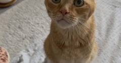 行ってきます！
