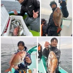 新安浦港・長谷川丸釣果