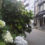 ストレス対処法研究所ブログ