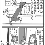 好きじゃなかった猫と向き合う話⑤