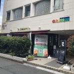 イワナの散歩Ⅱ