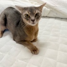 【楽天スーパーセール】プチプラウールセーターがなかなか良い&ポチったものと気になるものとか