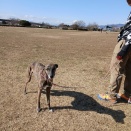 ほこりっぽいね