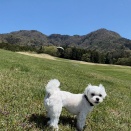 4月25日（土曜日）今日と明日のグランボレ