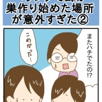 ひよっこ一家備忘録